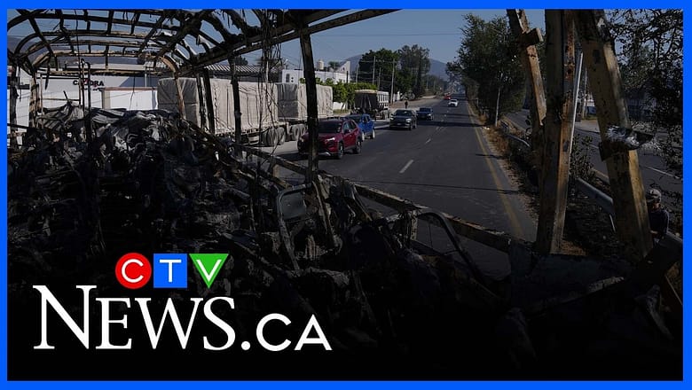 Canadians stuck in Mexico ‘very concerned and frightened’: Travel expert