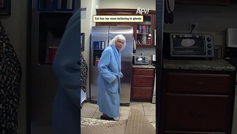 Cat has her mom believing in ghosts