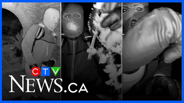 New leads making an ‘all-new investigation’ for Guthrie case amid discovery of discarded glove