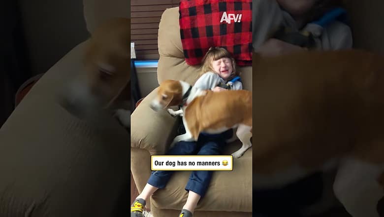 Our dog has no manners π