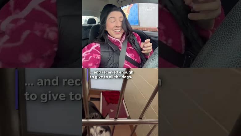 Shelter dogs got the sweetest surprise thanks to coffee shop. See their reactions.