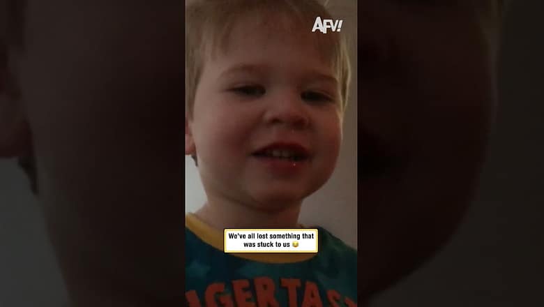 AFV Short Form 030926 Clip 27 How’d it get up there though