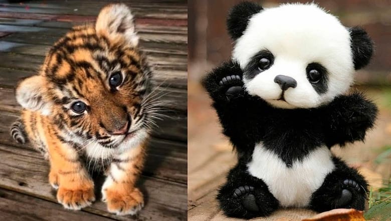 AWW Animals SOO Cute! Cute baby animals Videos Compilation cute moment of the animals 2026