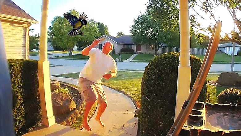 CAUGHT IN 4K! π Best Security Camera Fails