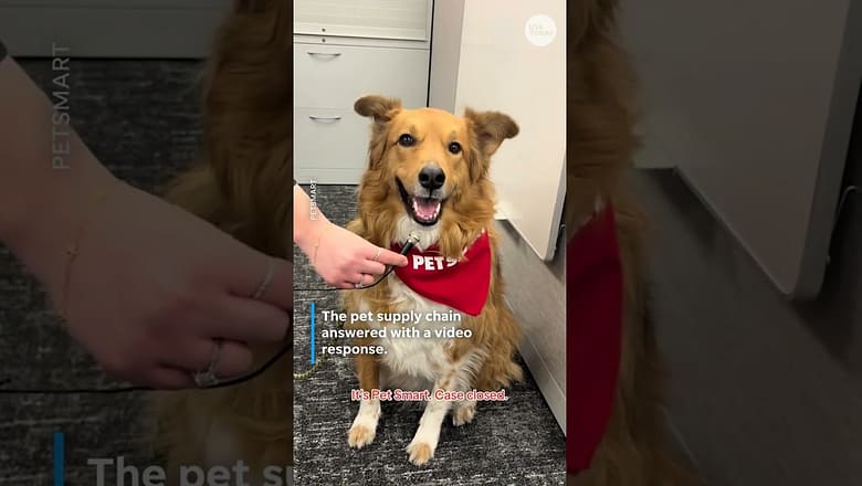 Comedian’s burning question for pet store sparks viral song
