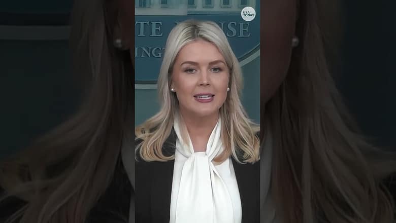 Leavitt clashes with CNN reporter over Iran war coverage
