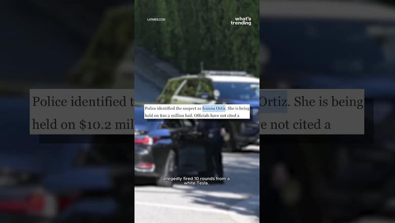 Rihanna TARGETED in Alleged AR-15 Style Drive-By
