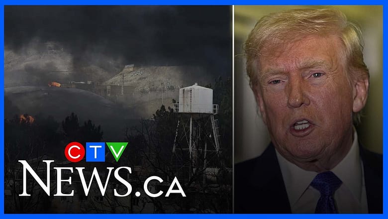 Trump’s motives for Iran-U.S. war are ‘very much about oil’: military expert