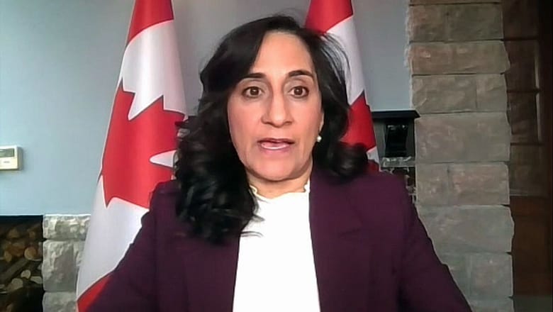 WATCH LIVE: Foreign affairs minister takes questions from the media in Turkiye