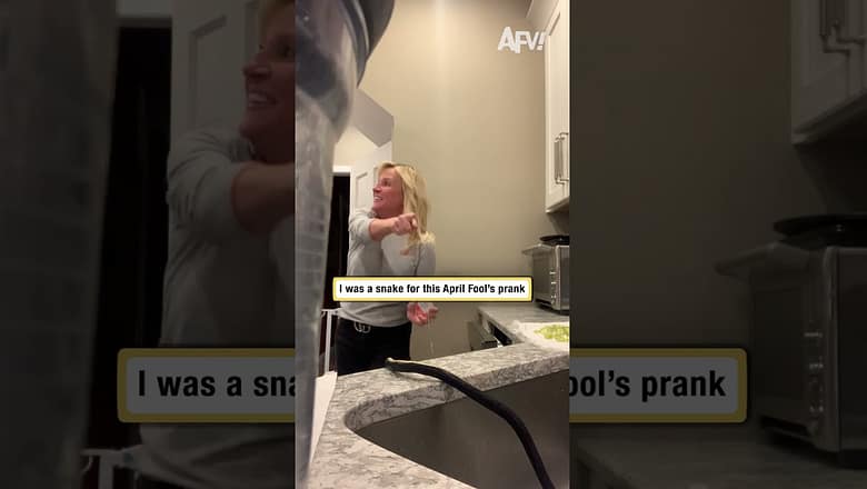 OH MY GOODNESS This Snake Prank Went Crazy π± #pranks #fails
