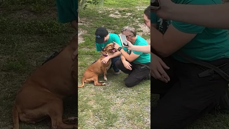 Shelter dog receives a hero’s sendoff after lengthy stay, health battle