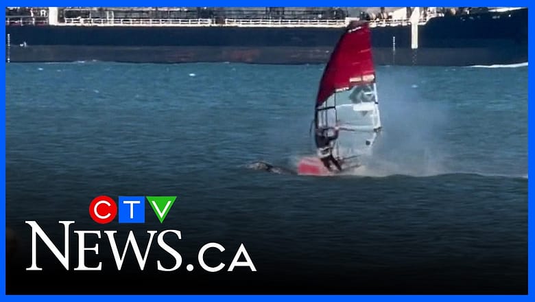Windsurfer collides with whale in San Francisco Bay