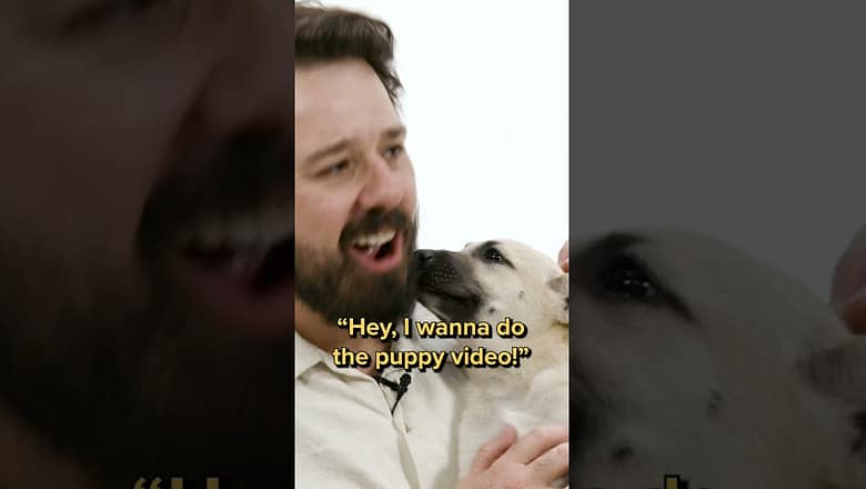 Ex-BuzzFeeders Spill Tea While Playing With Puppies