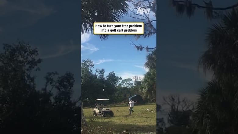 How to turn your tree problem into a golf cart problem