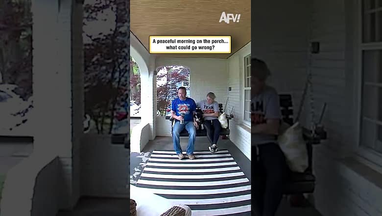 A peaceful morning on the porch… what could go wrong?