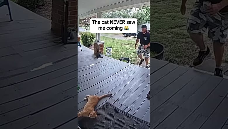The cat NEVER saw me coming πΉ