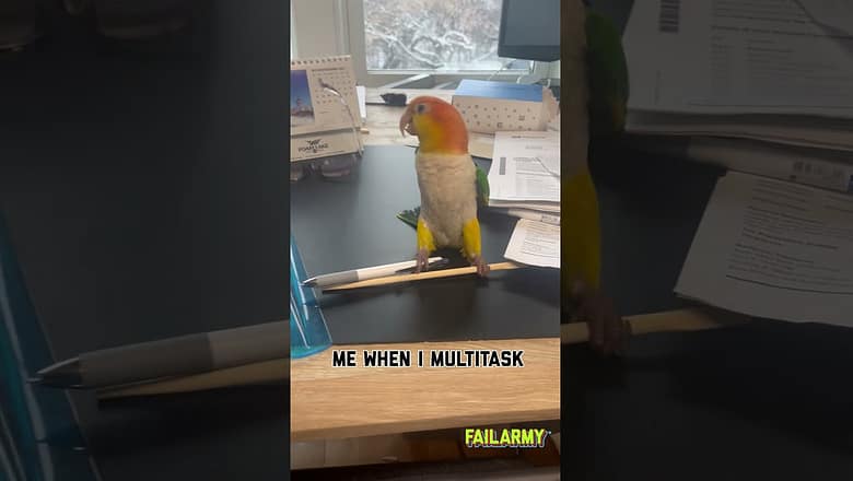 What we have here is an illustration of the ADHD brain #mondaymotivation #adhd #multitasking #birds