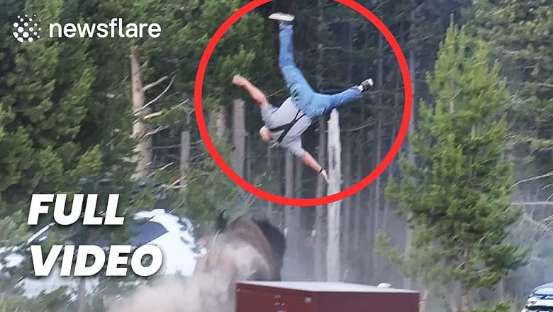 Bison Attacks Tourist At Yellowstone – FULL VIDEO