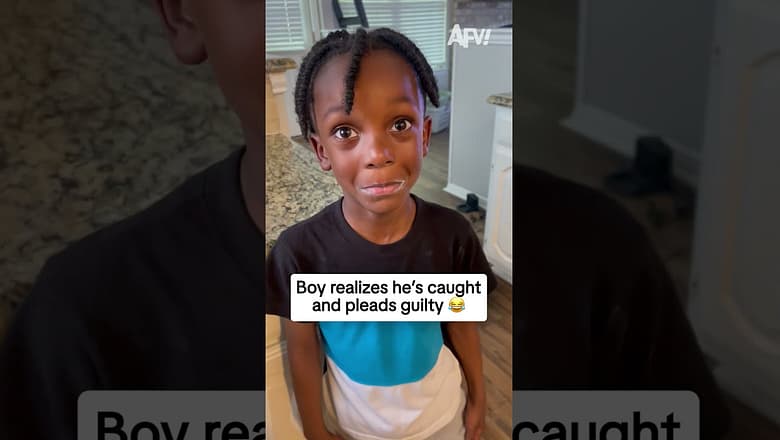 Boy realizes he’s caught and pleads guilty 😂