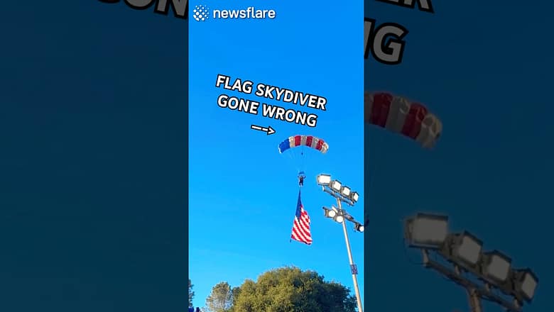 Skydiver’s Flag CAUGHT On Tree