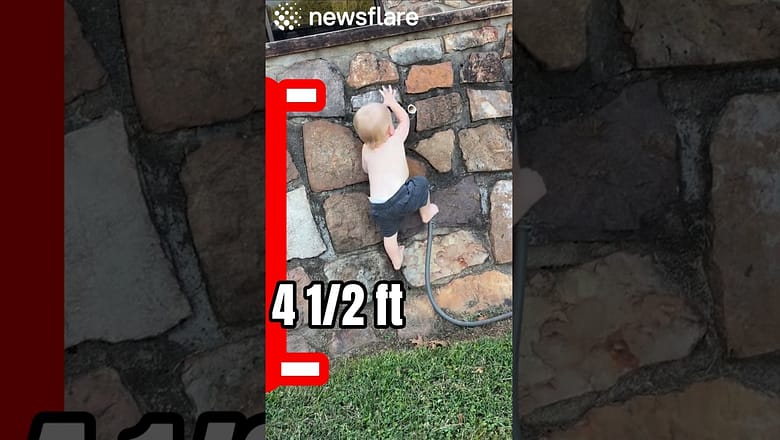 Toddler Found Climbing 4.1/2ft Wall